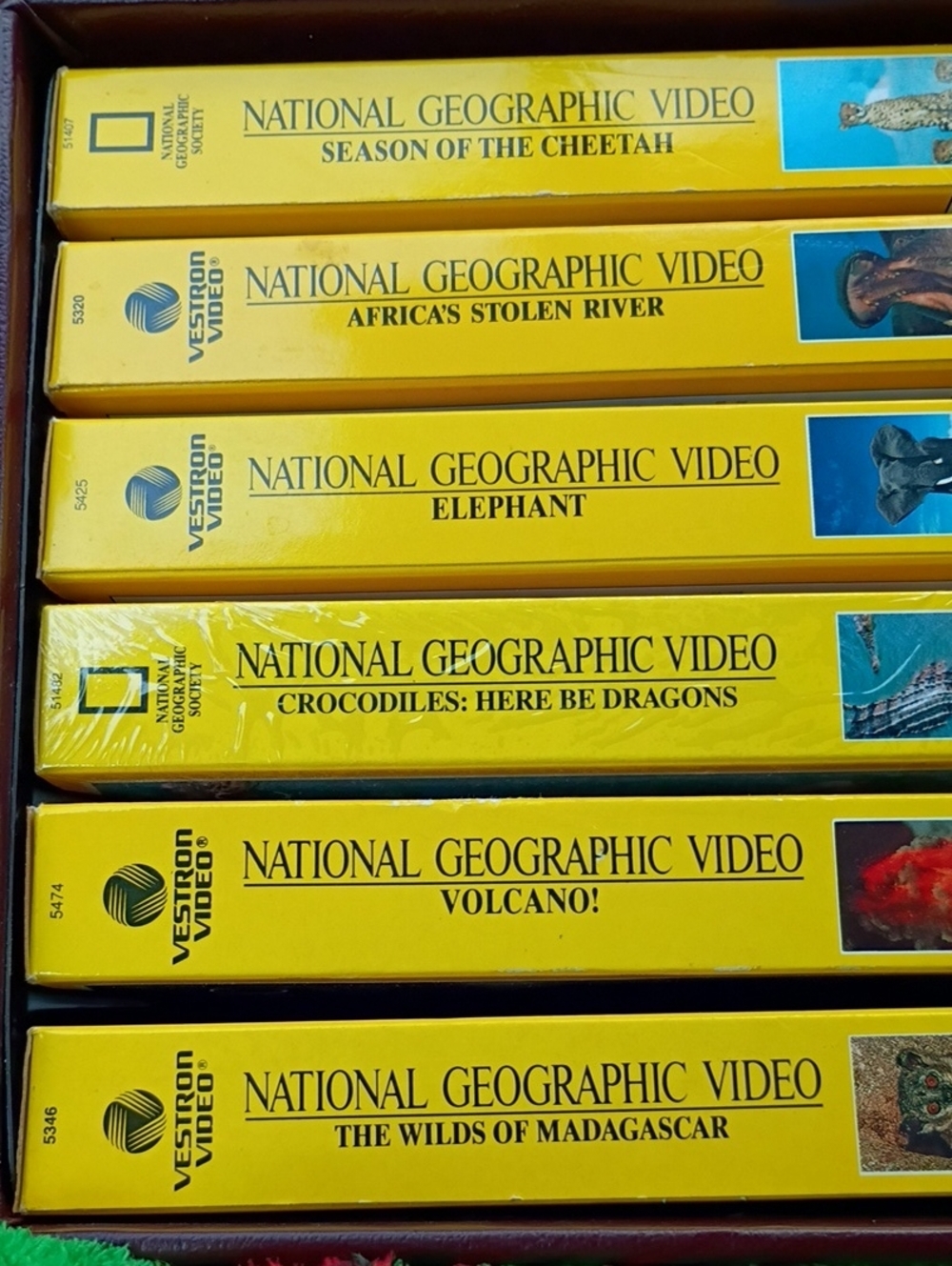 National Geographic Yellow VHS Video Collection Spines